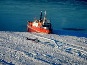 Lastrolabe_berthed_along_seaice